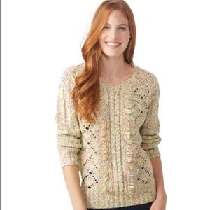 Roz and Ali Novelty Fringe Pullover Sweater size Large